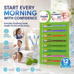 Toothbrush – 12 PCS